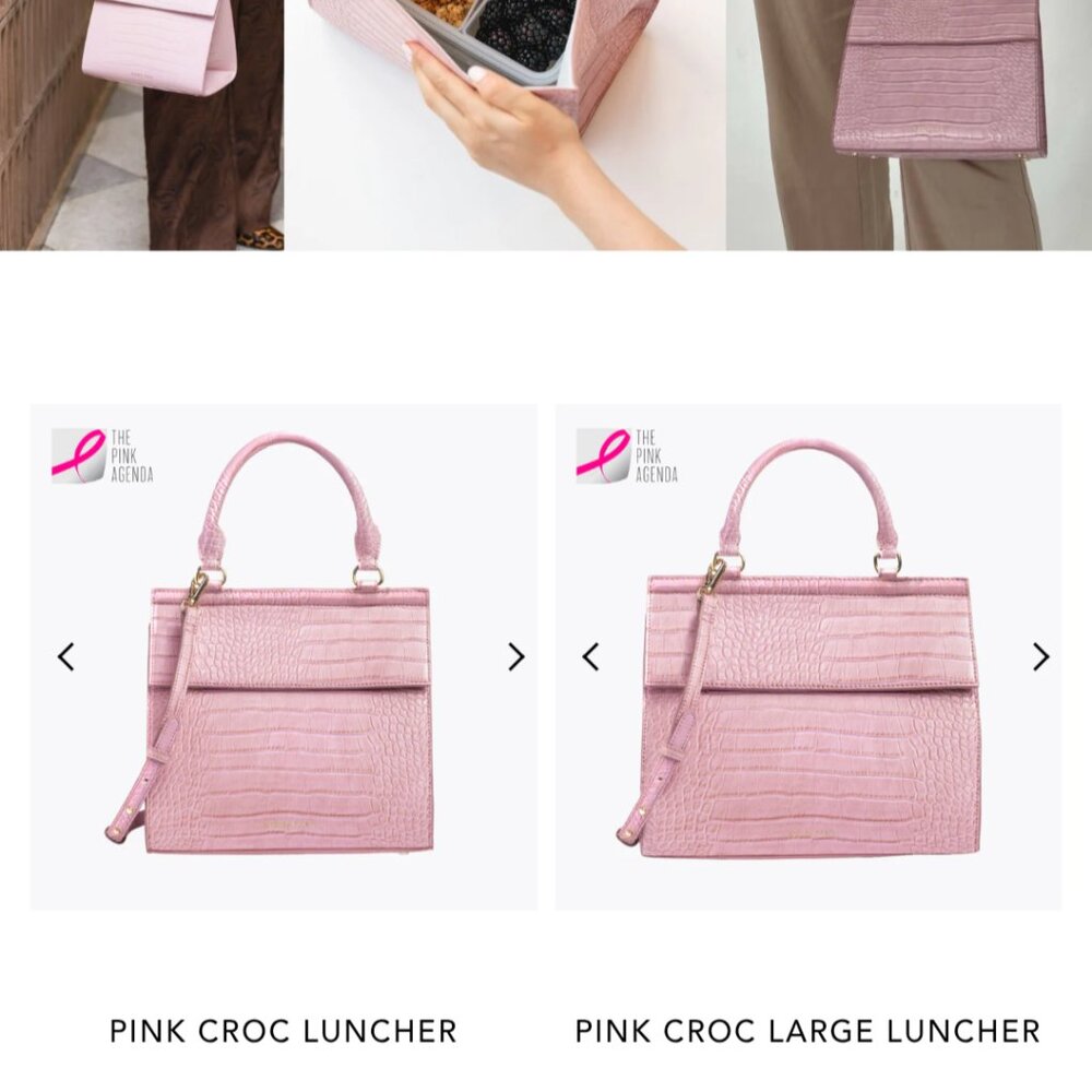 Brand new Modern Picnic luncher
